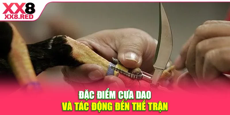 Đặc điểm cựa dao và tác động đến thế trận