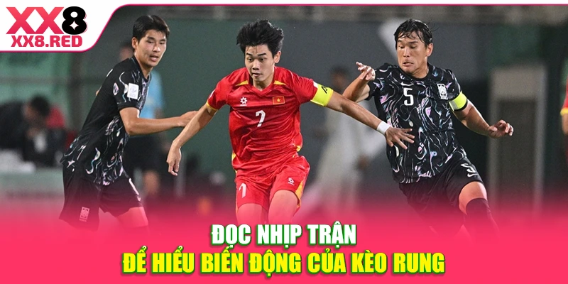 Đọc nhịp trận để hiểu biến động của kèo rung